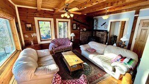 TV, fireplace, DVD player, books