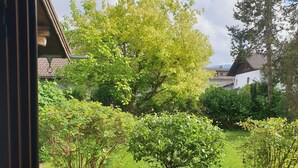 A view through a window of a garden with a small tree, a grassy area, and a building in the background. - Landhaus Münz, quiet vacation apartment near Hopfen am See near Füssen (Hopferau)