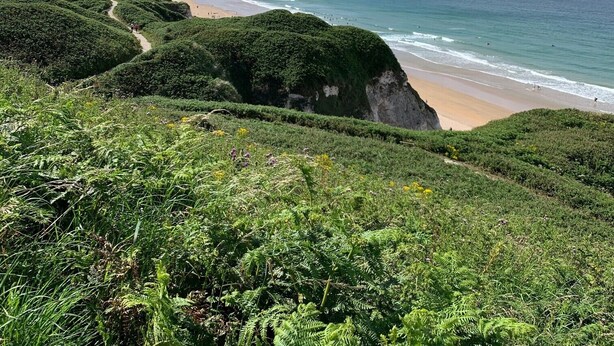 A coastal landscape with a beach, cliffs, and a path leading to the shore.