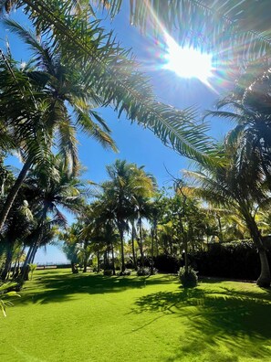 Property grounds - Beach Front 1940 retro 3-bedrm house AC/Wifi: Privacy & Comfort in Puntarenas. (Chacarita)