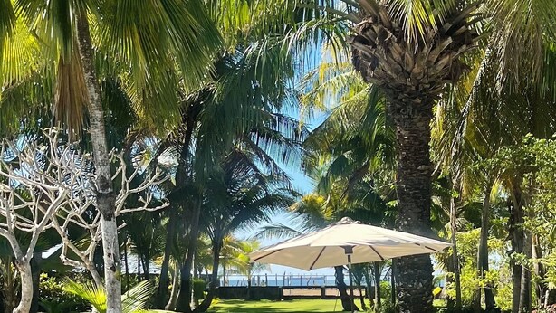Un área de piscina con vista despejada al océano, rodeada de palmeras y un césped bien cuidado.