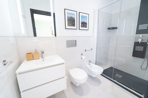 Ducha, cabezal de ducha tipo lluvia, secador de pelo, bidet