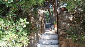 A stone staircase surrounded by greenery, leading to a wooden gate. - Entire Villa in Kalymnos, Greece
5 guests1 bedroom3 beds1.5 bathrooms (Kalymnos)