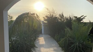 A pathway leading to a building entrance framed by large palm trees and a clear sky.