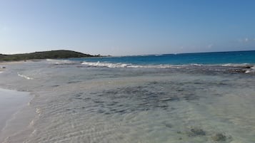 海滩