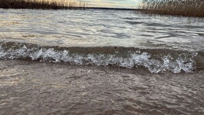 Een strand met golven, riet en een bewolkte lucht.