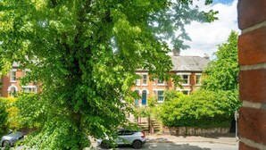 Une rue résidentielle bordée de maisons en briques, avec une voiture garée et une végétation luxuriante.
