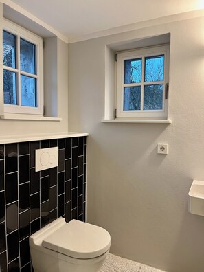 Dusche, Haartrockner, Handtücher, Seife