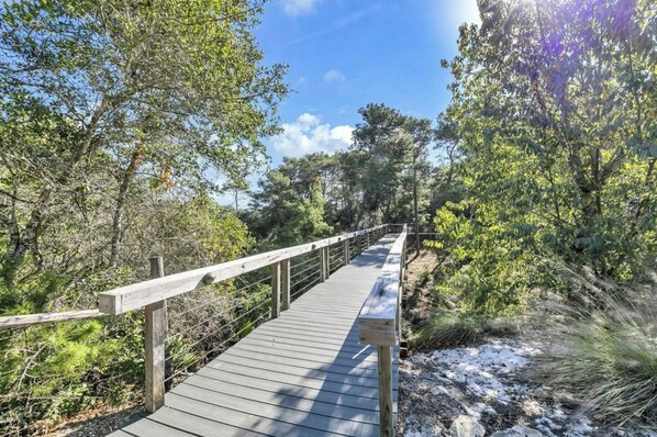 A wooden boardwalk through a forested area with trees and shrubs.