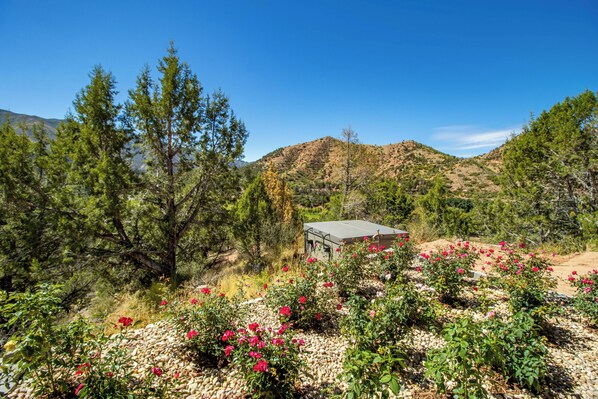 Enceinte de l’hébergement