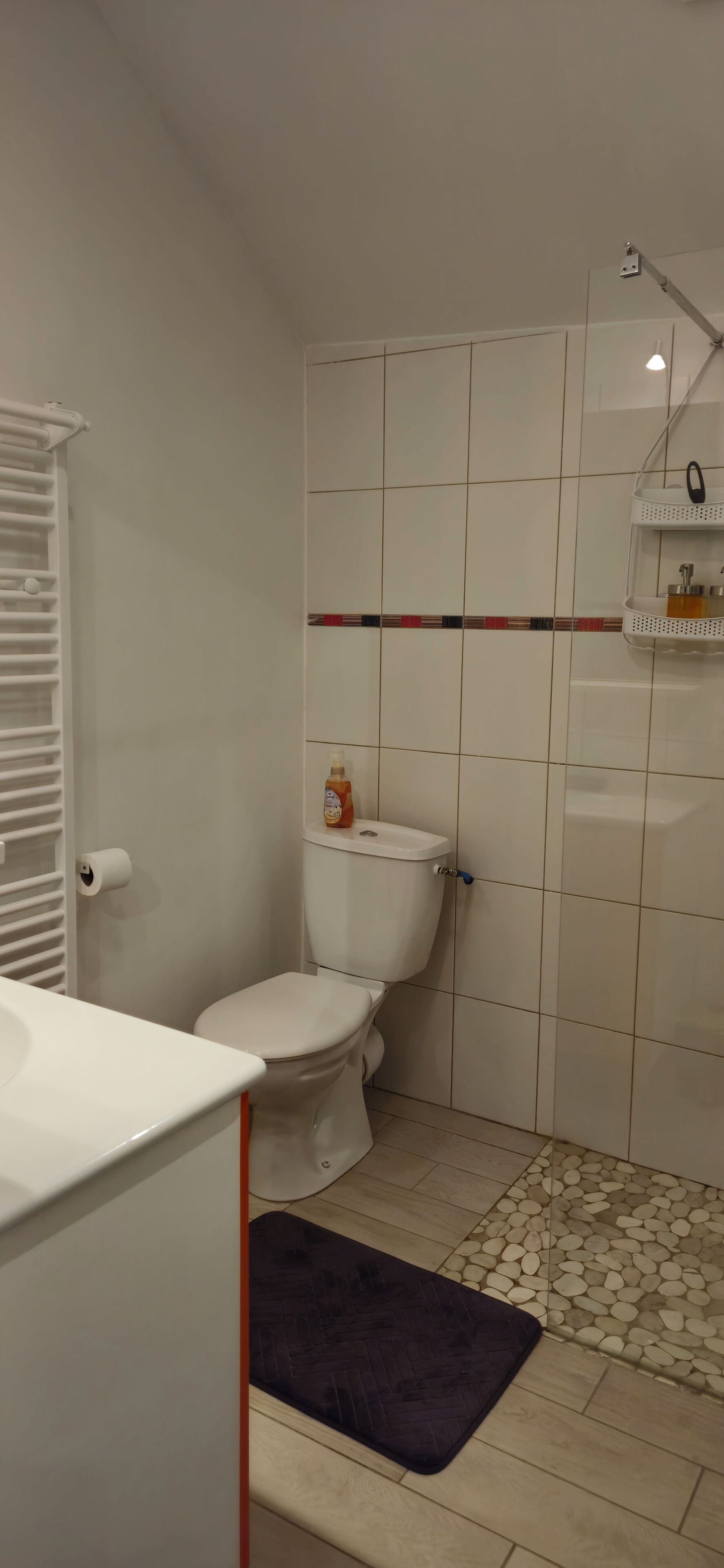 Regadera, amenidades de baño ecológicas, secadora de cabello, toallas 