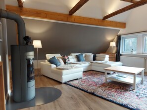 Smart-TV, Kamin