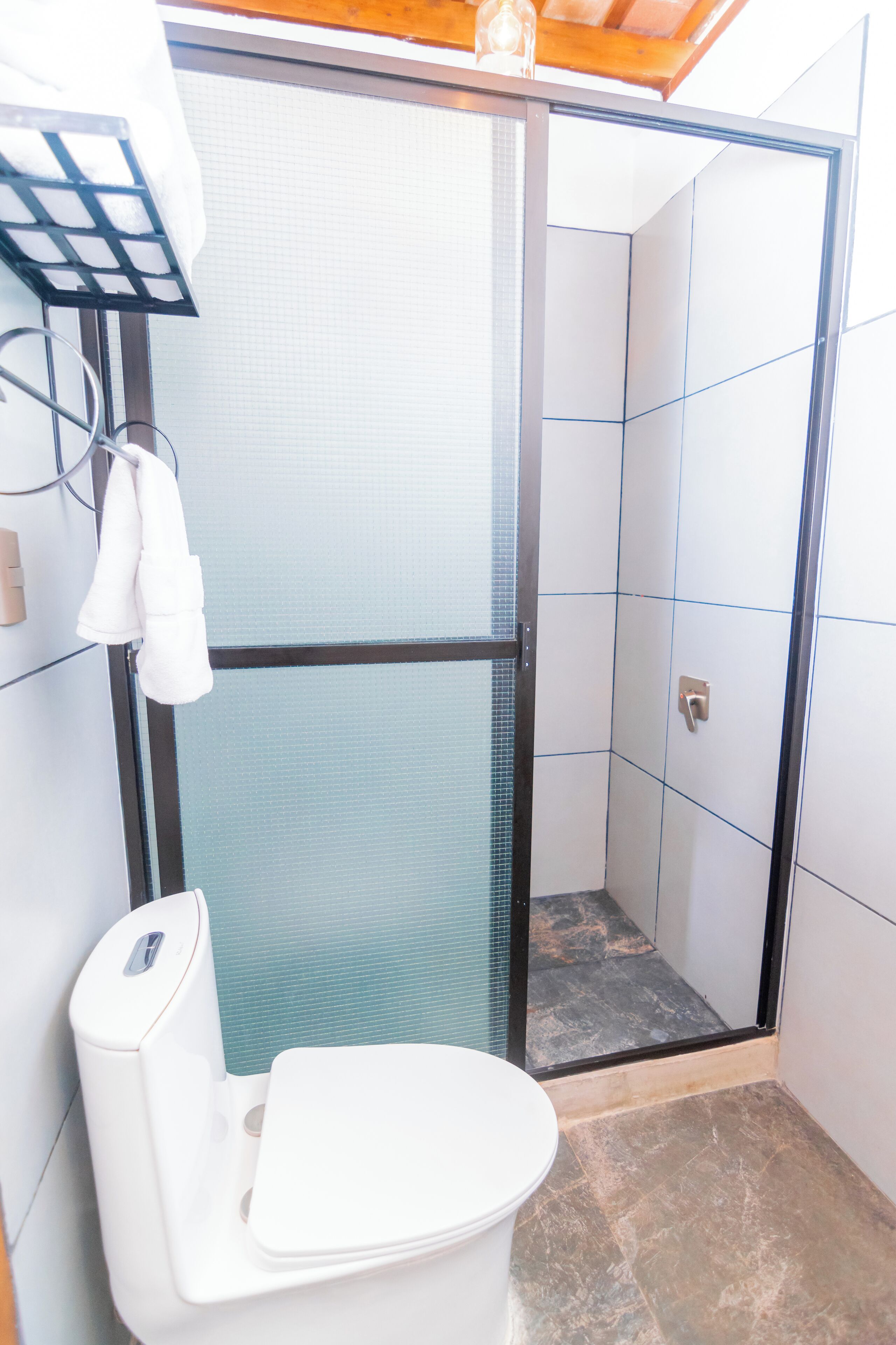 A modern bathroom with a glass-enclosed shower, a white toilet, and a towel rack.