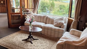 TV connectée, cheminée, livres