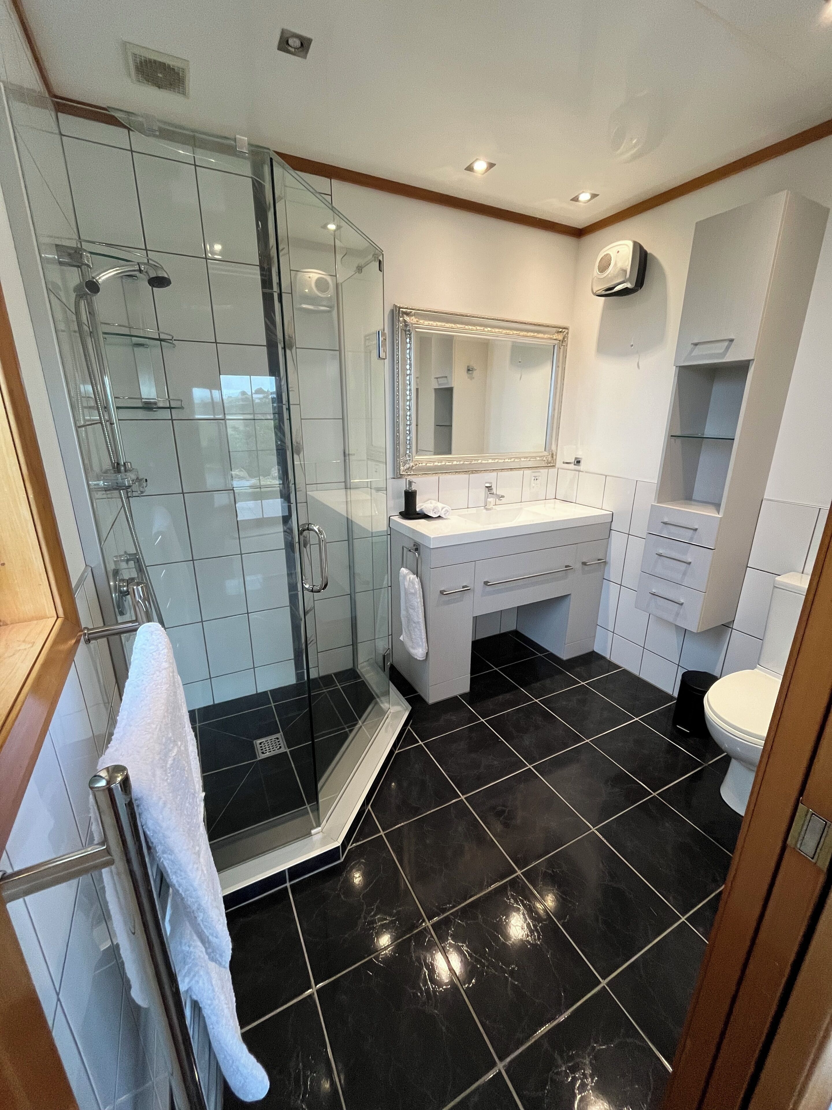 Shower, towels, soap, toilet paper