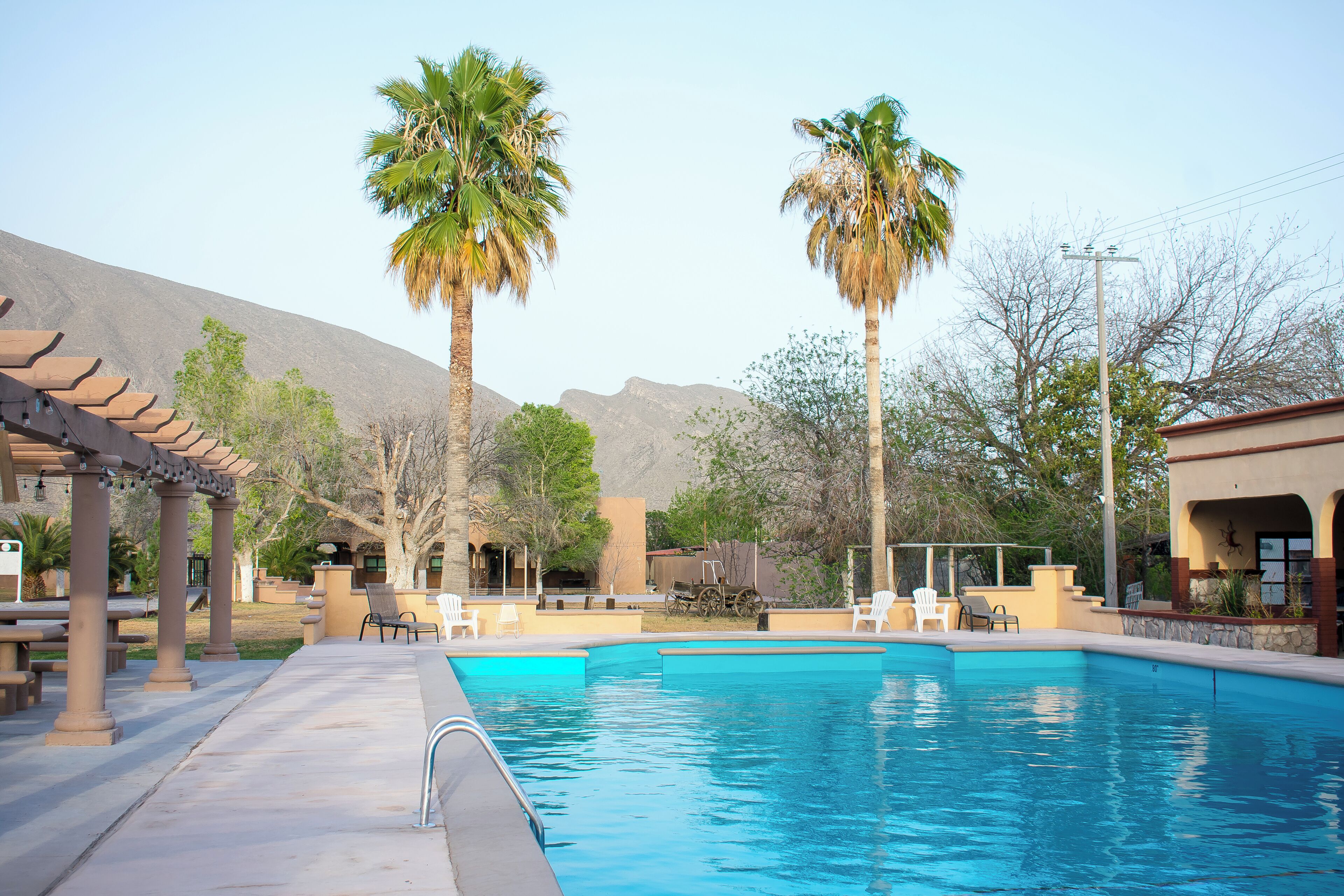 A swimming pool with lounge chairs and palm trees.