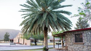 Un bâtiment en pierre doté d’un patio couvert, d’un palmier et d’un banc.