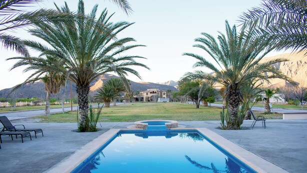 Une piscine rectangulaire à l’eau d’un bleu limpide, entourée de palmiers et bordée d’une pelouse bien entretenue.
