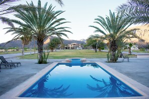 Ein rechteckiger Swimmingpool mit glasklarer, blauer Wasserfläche, umgeben von Palmen und einem gepflegten Rasen.