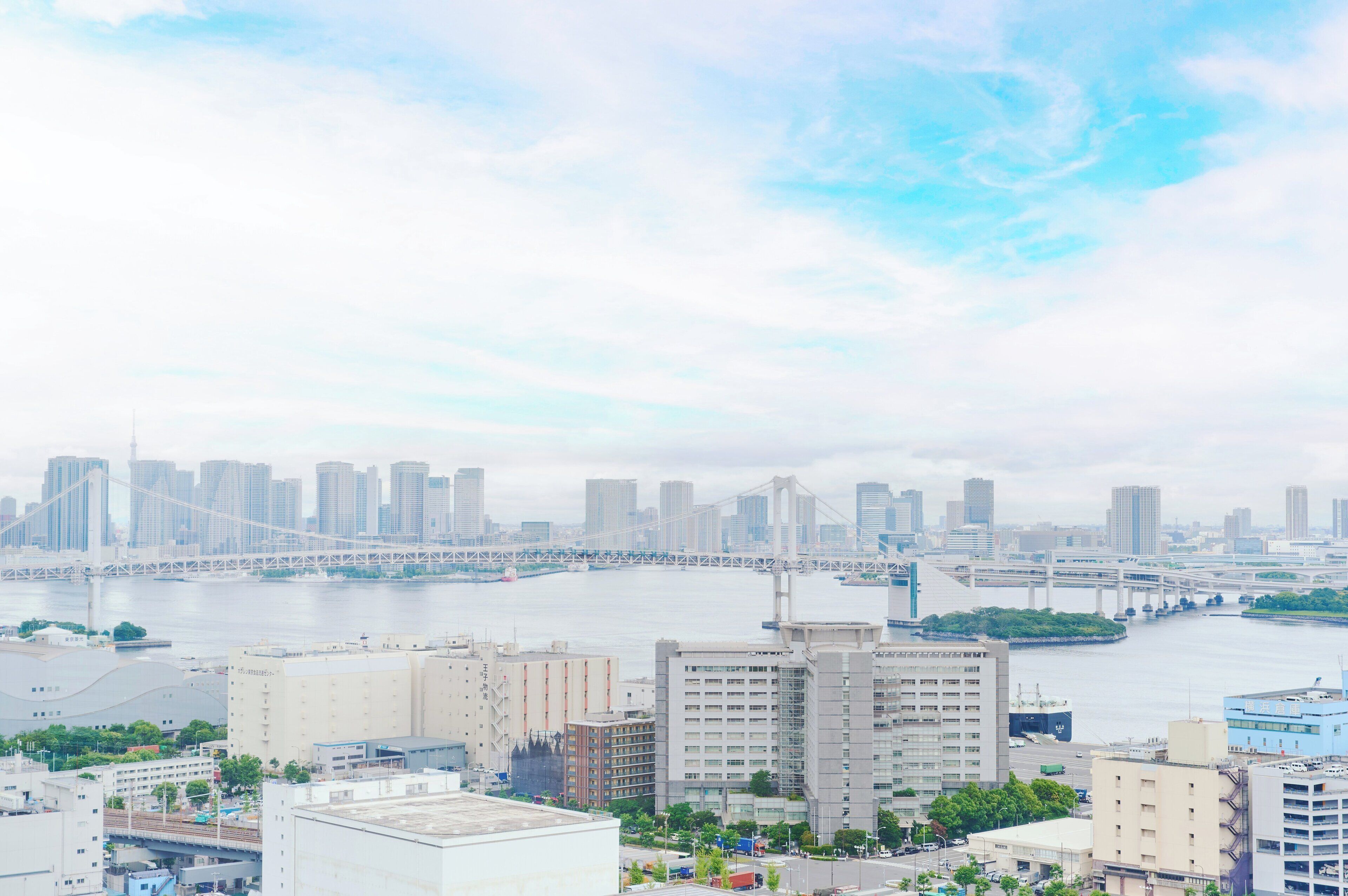 Photo - ANA Holiday Inn Tokyo Bay by IHG