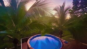 Una piscina circondata da palme.