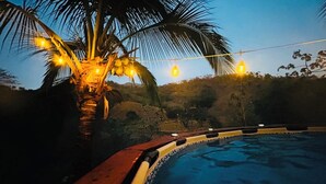 Una piscina con una palma e luci a catena.