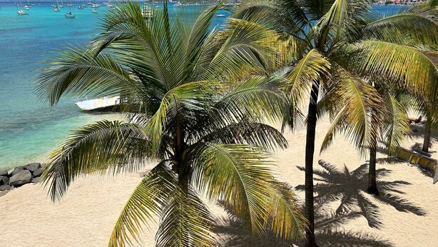 Una spiaggia con palme e una vista limpida su barche sull'acqua.