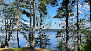 A natural setting with tall trees, a clear sky, and a calm lake.