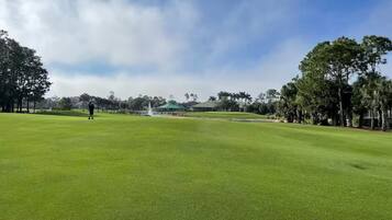 A golf course with a putting green, trees, and a distant building.