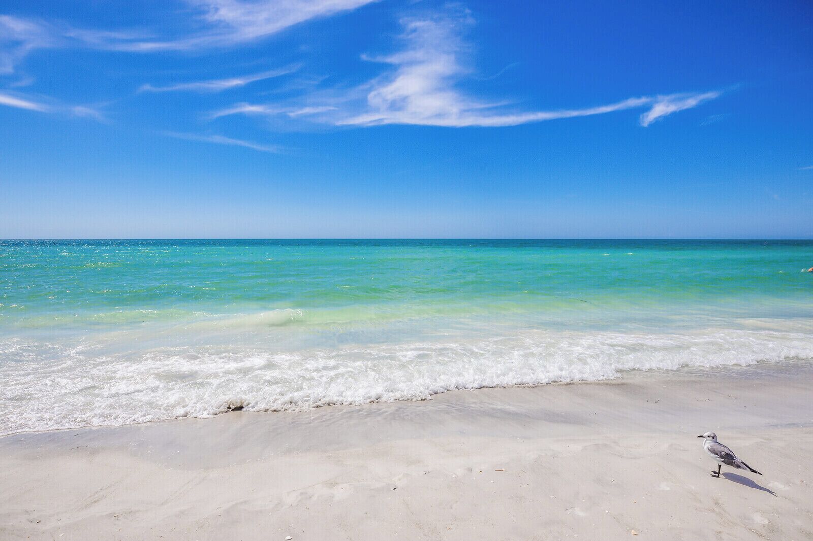 Sun loungers, beach towels