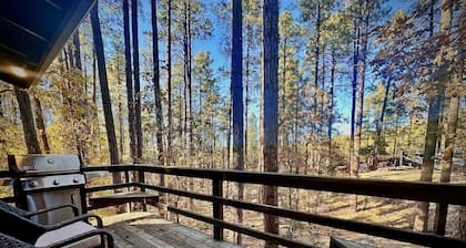 Private - Amidst The Forest