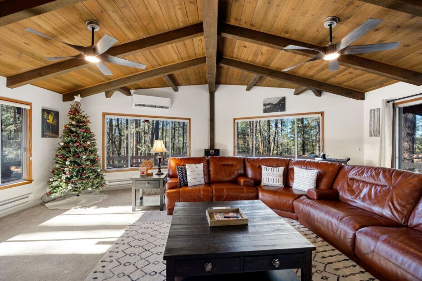 Smart-TV, peis, bøker og musikkbibliotek