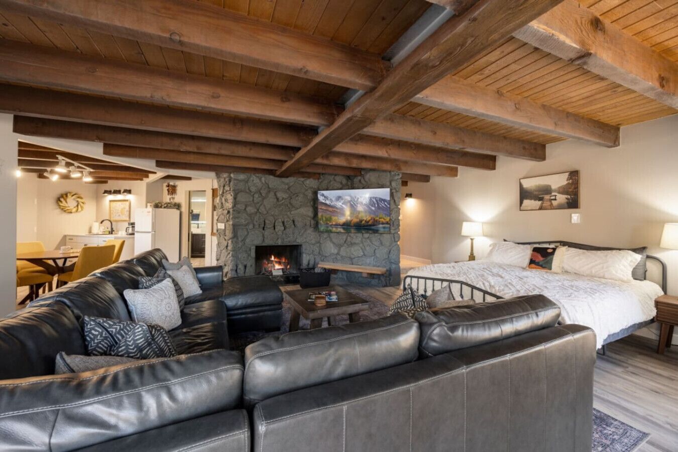 Smart TV, fireplace, books, music library