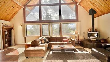 Smart TV, fireplace, books, stereo