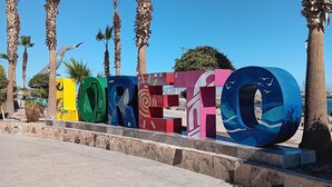 Un letrero con la palabra 'FOREIGN' en letras de colores, rodeado de palmeras y un cielo azul despejado.