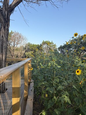 Terrein van de accommodatie