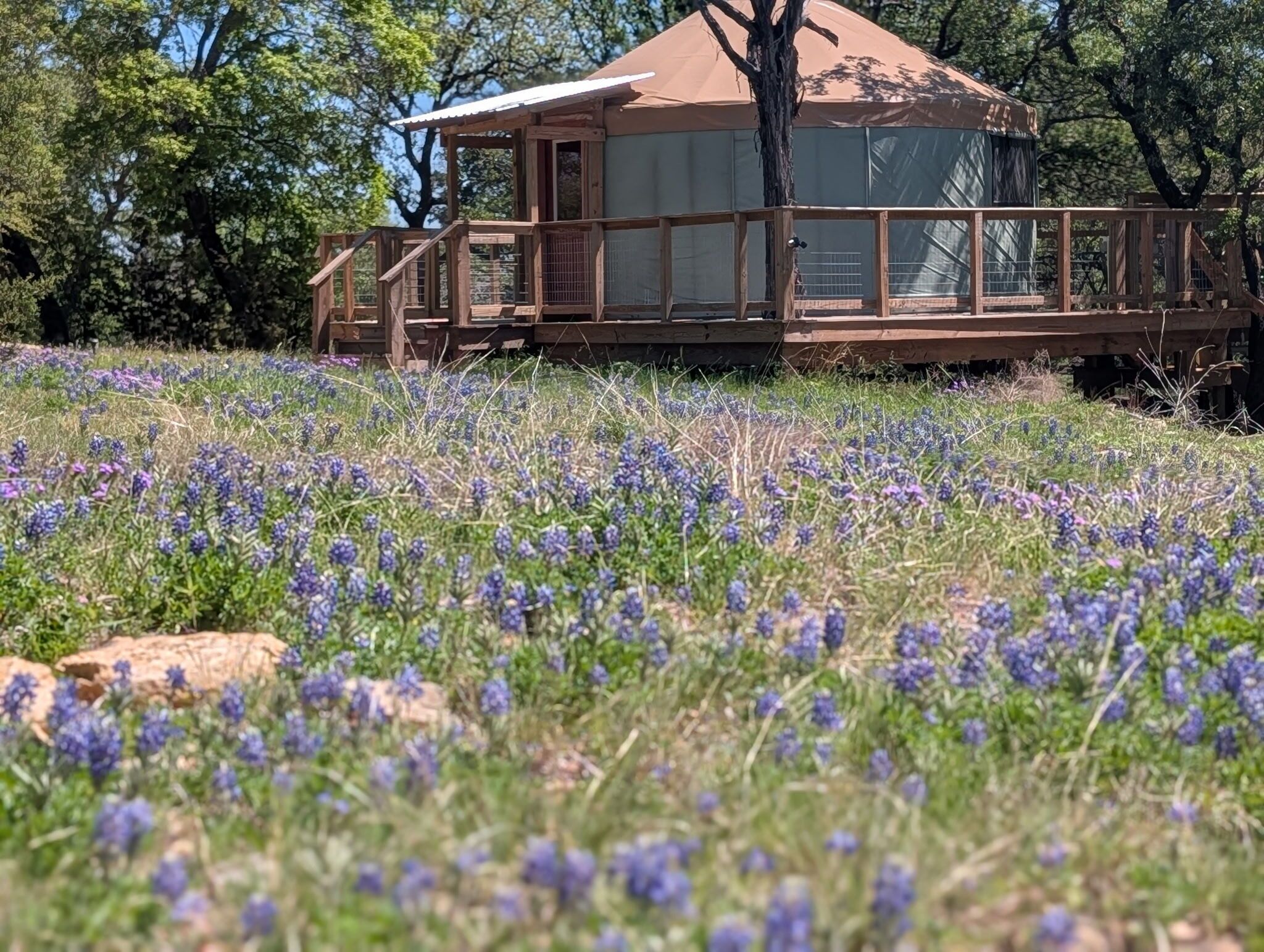Una cabaña de madera con balcón, rodeada por un campo de flores púrpuras.