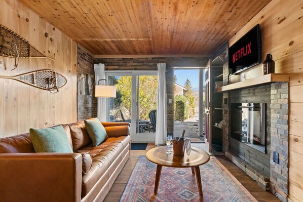 TV, fireplace, books