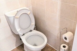 Secadora de cabello, toallas, jabón, papel de baño 