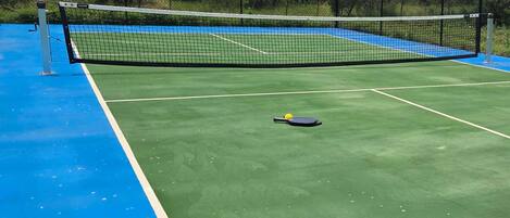 Cancha de tennis a l'aire lliure amb xarxa, envoltada d'arbres i superfície blava.