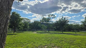 A grassy park with trees and a fenced area.
