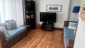 TV, fireplace, books