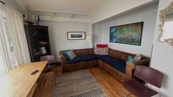 TV, fireplace, books