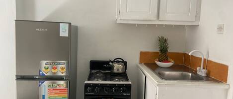 A compact kitchen with a refrigerator, stove, and sink.