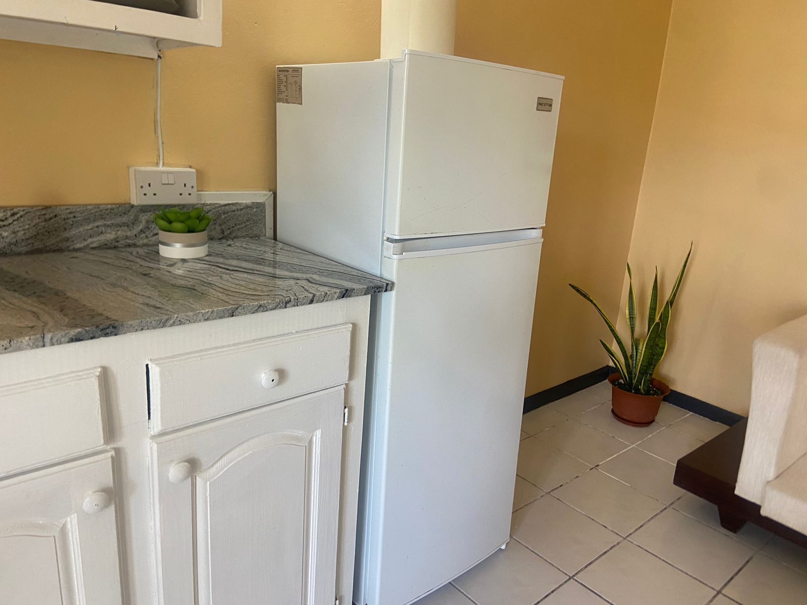 A compact kitchen with a white refrigerator, a marble countertop, and a potted plant.