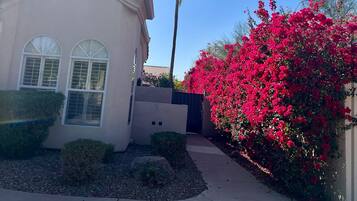 Área da propriedade