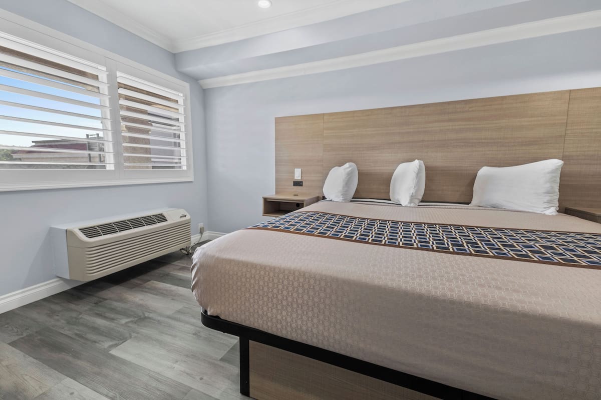 Room, 1 King Bed