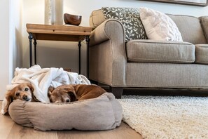 Una Smart TV, una chimenea