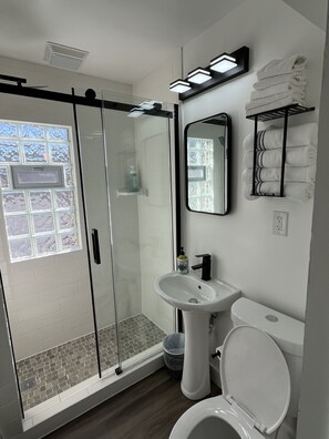 Shower, hair dryer, soap, toilet paper