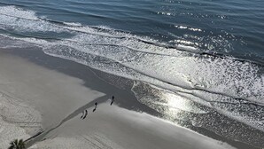 A beach with a clear view of the ocean and a few people walking along the shore. - WELCOME TO THE IVORY TOWER AT ARCADIAIN SHORES - 2 BEDROOM - CONDO ON THE OCEAN (Myrtle Beach)